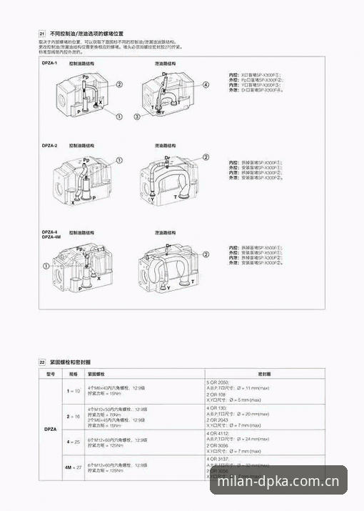 DPKA展区入口 DPKA展区入口完整操作指南|从下载到登录的避坑教程